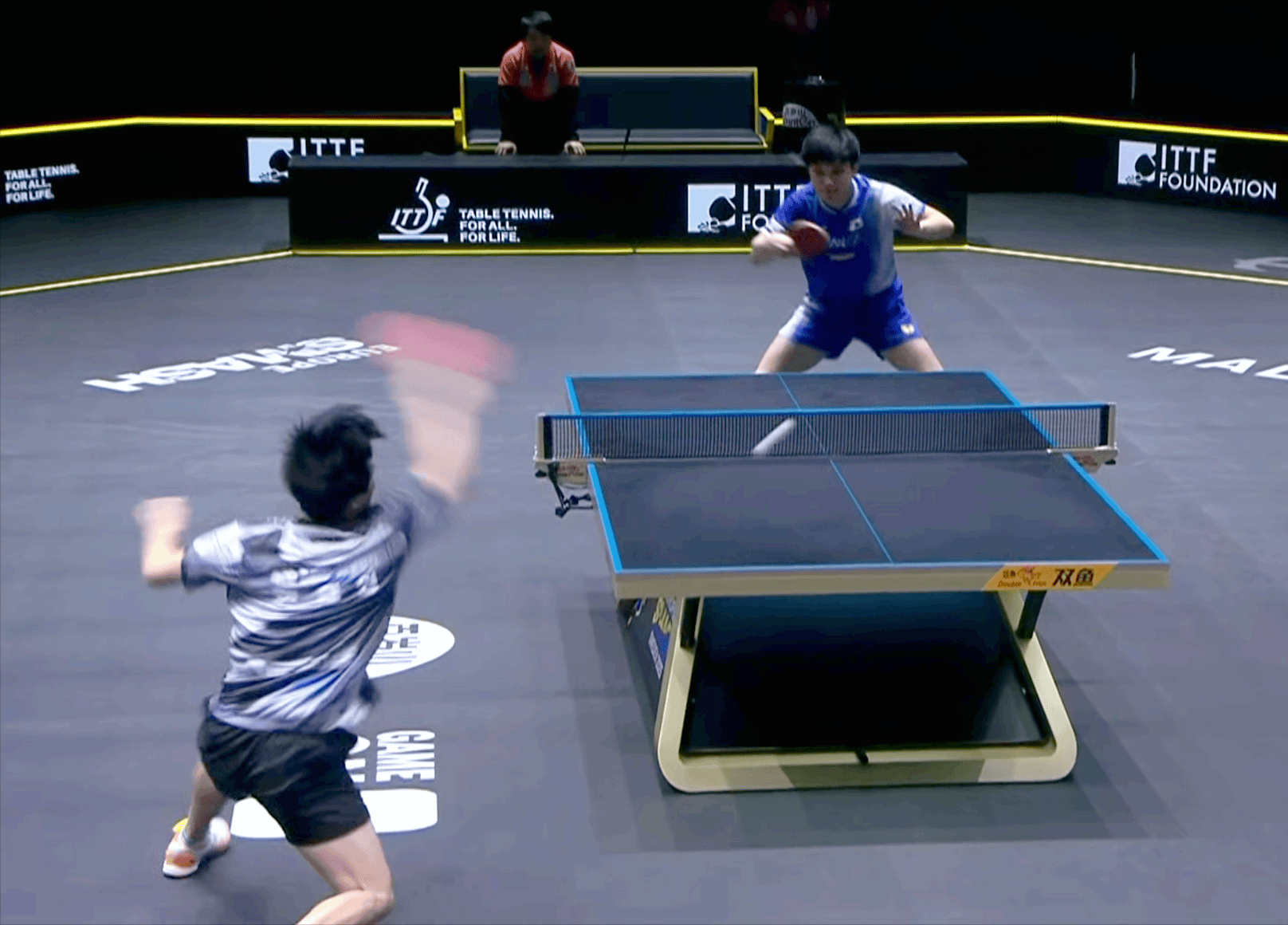 中国米兰体育-关于德国乒乓球队爆冷瑞典乒乓球队，张本智和送出助攻的信息