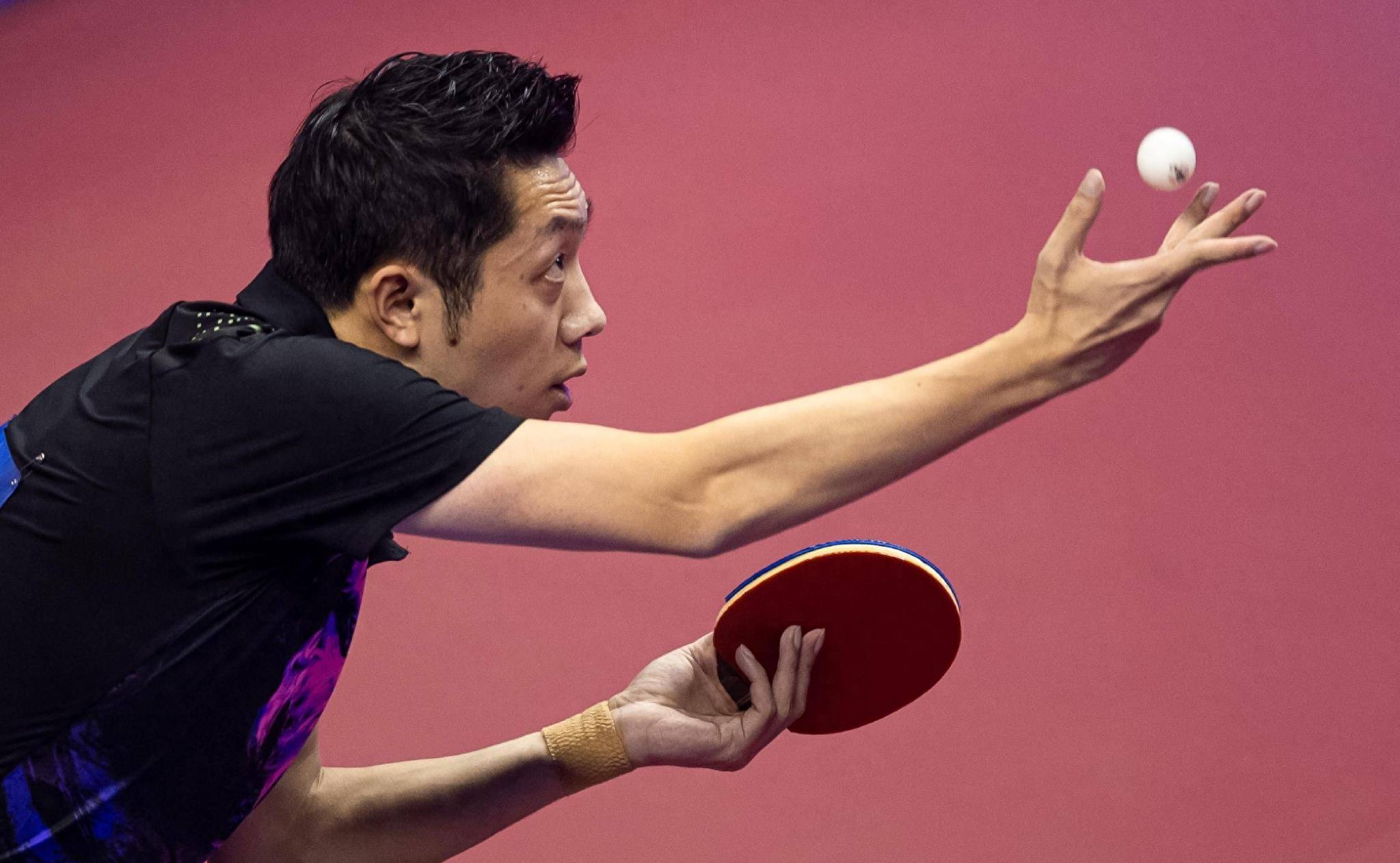 包含法国乒乓球队横扫比利时乒乓球队，许昕高光表现的词条