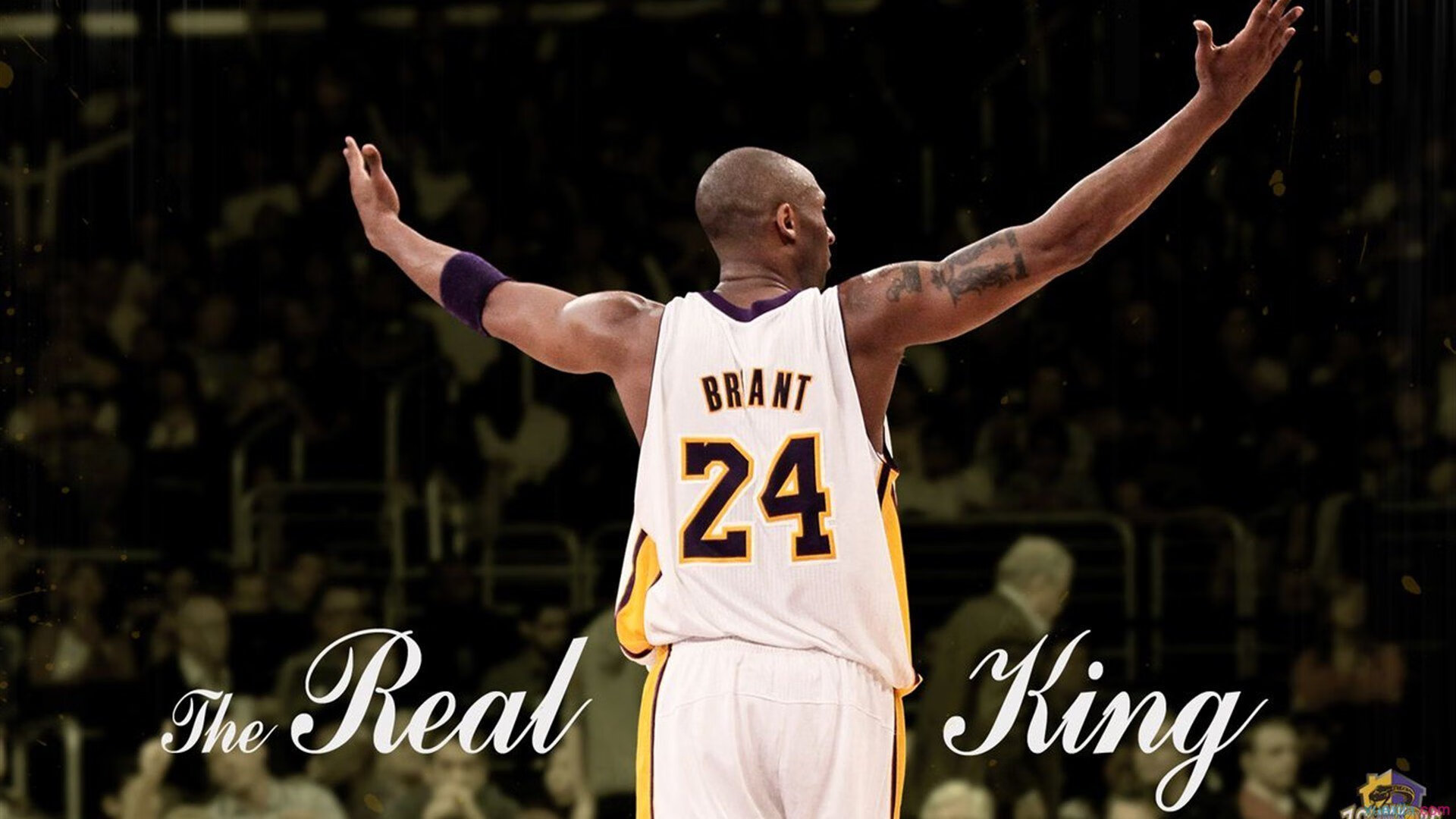 米兰体育-稳定如山!约基奇高效输出率队取胜,黄蜂团队火力压制猛龙